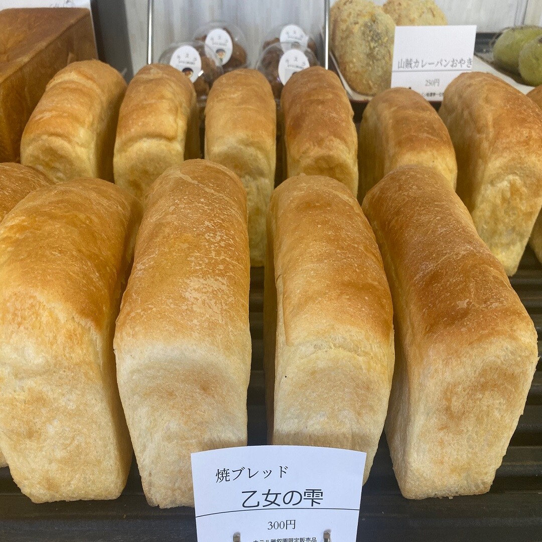 syunnsaika