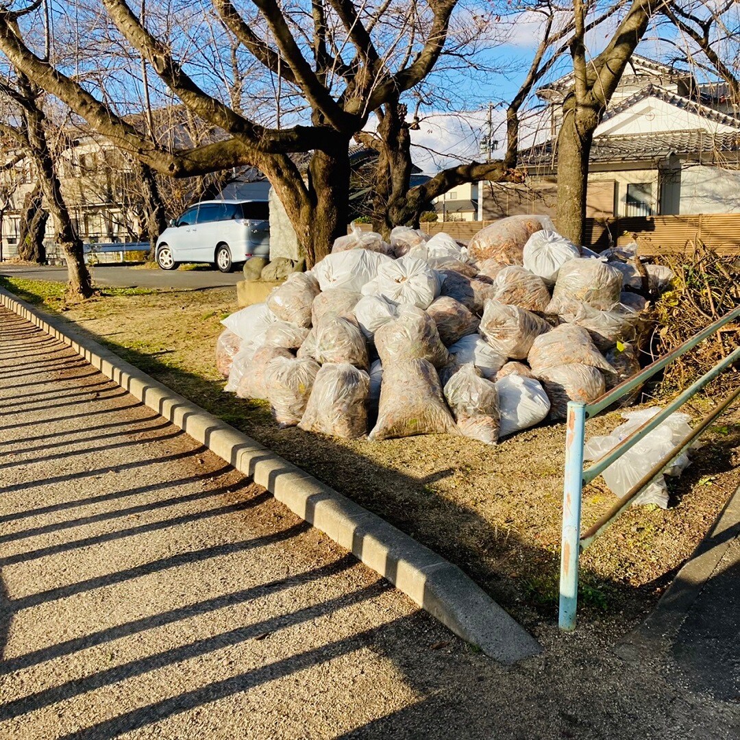 【ザ・モール郡山】落ち葉