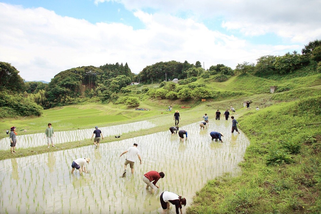 【イオンモール木更津】有機米田植え、鴨川里山トラスト～2022年～