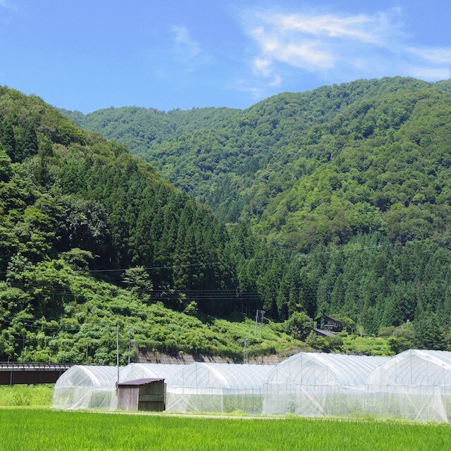 長九郎農園