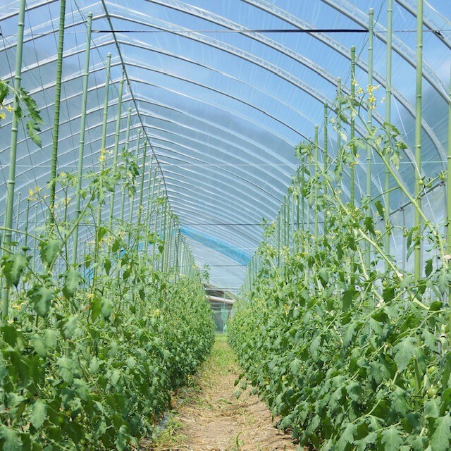 長九郎農園