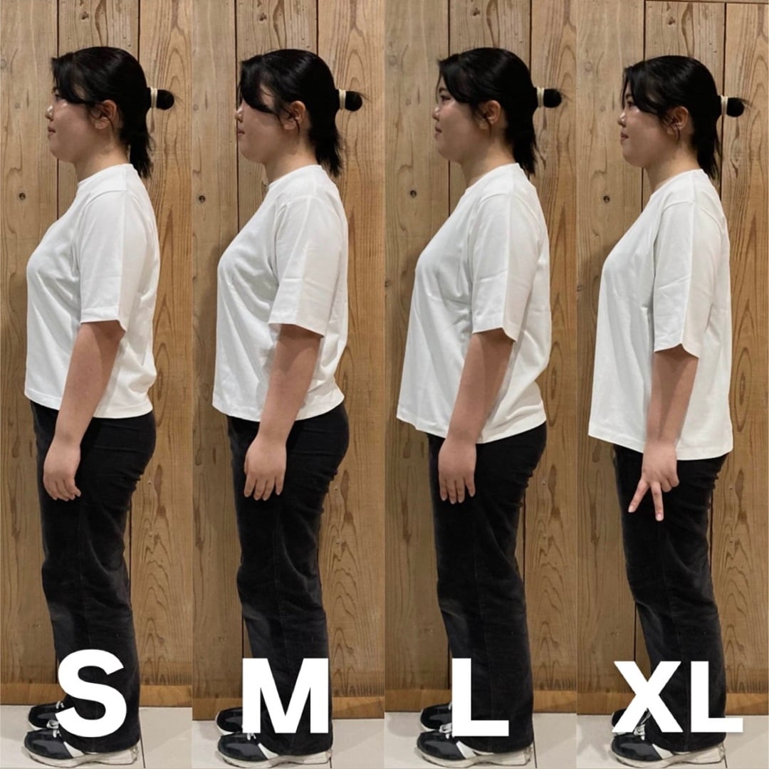 サイズ比較　婦人