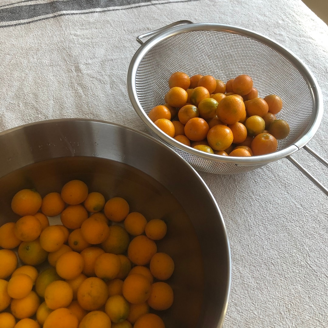 きんかん 甘露煮 金柑の甘露煮 しわにならずにつやつやふっくら苦くなく煮る方法