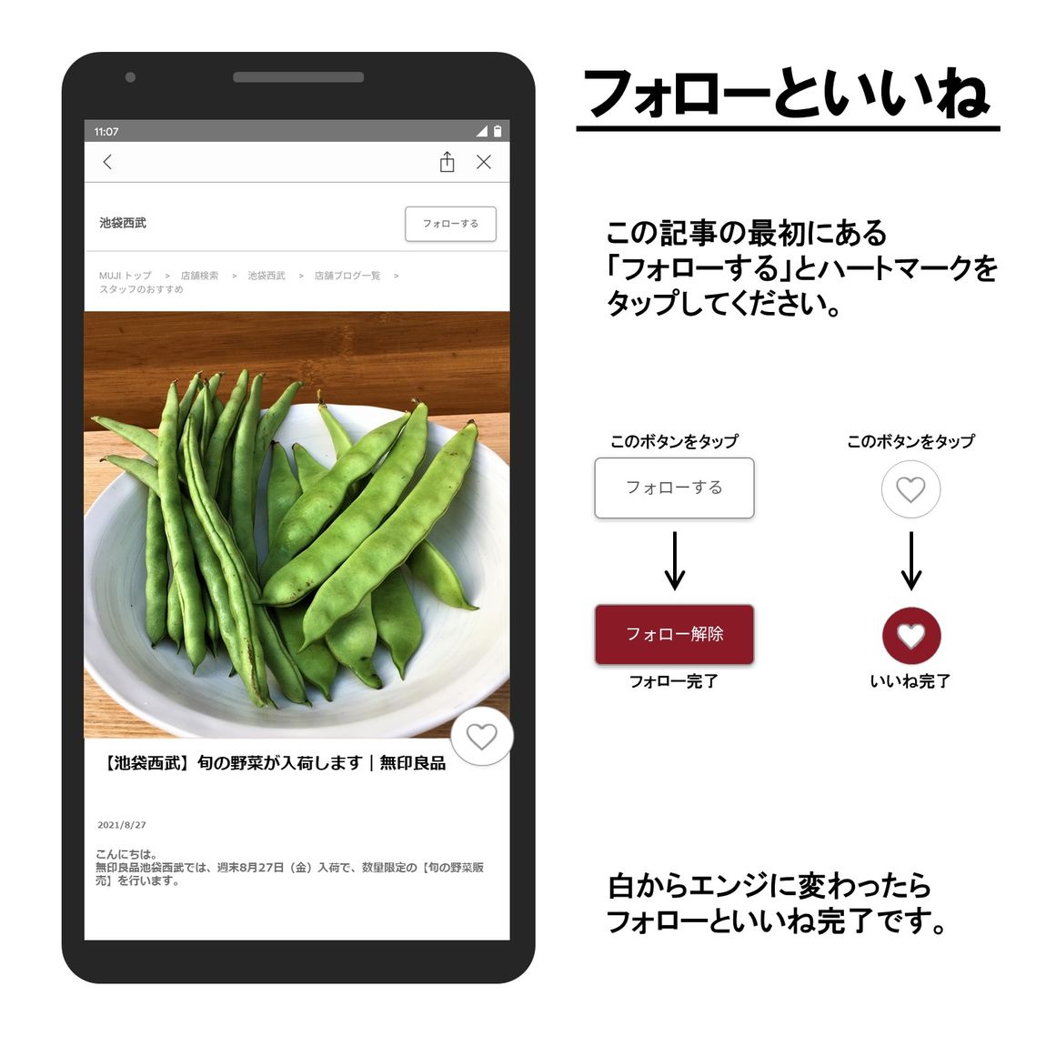 【池袋西武】旬の野菜が入荷します(インゲン・モロッコインゲン）