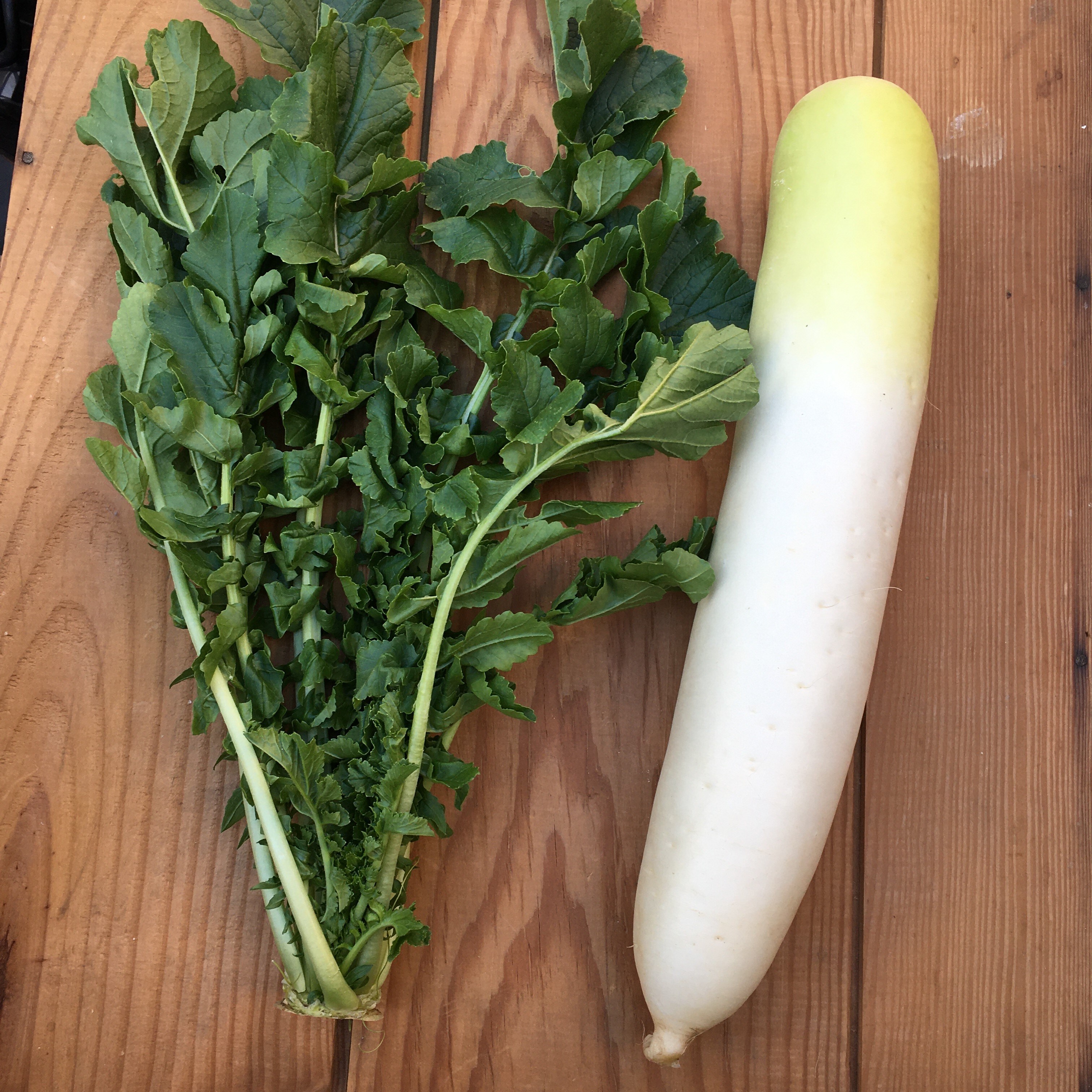 【池袋西武】東京野菜マルシェ平日も開催しています。