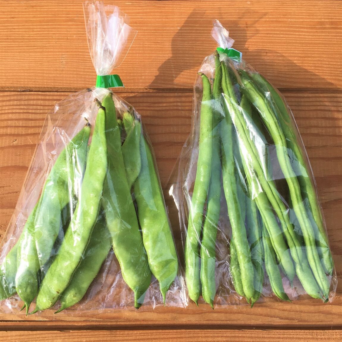 【池袋西武】旬の野菜が入荷します(インゲン・モロッコインゲン）