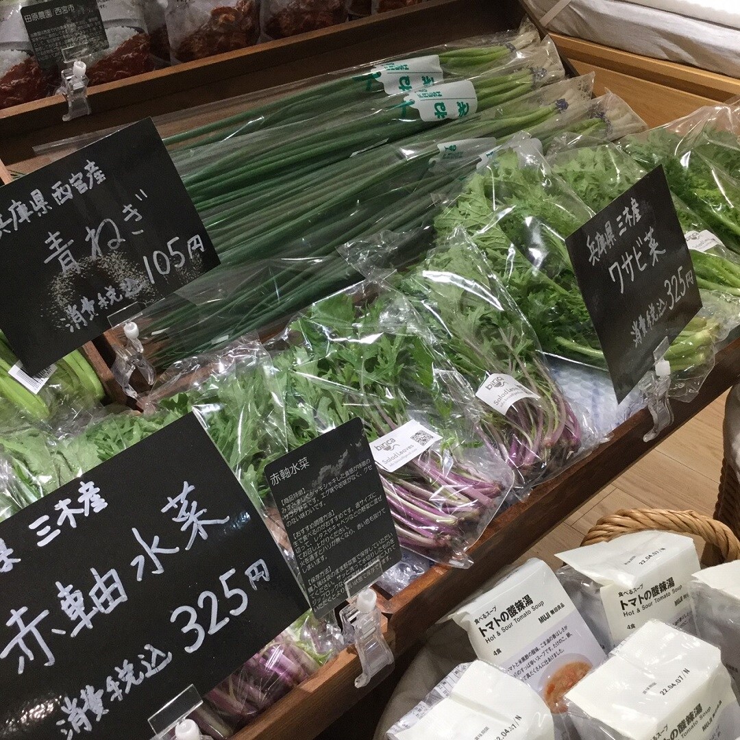 青ネギ