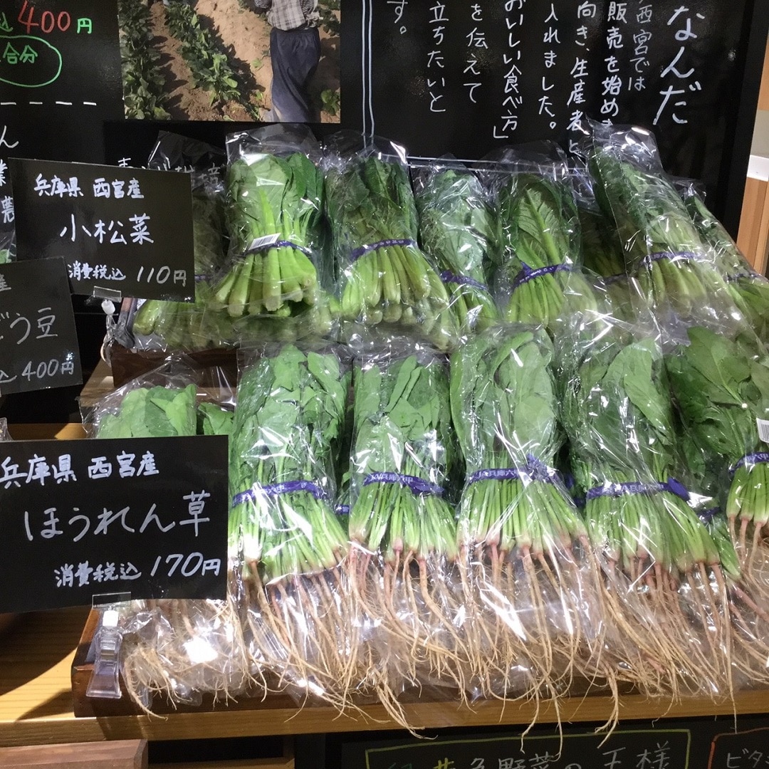 ほうれん草と小松菜の写真