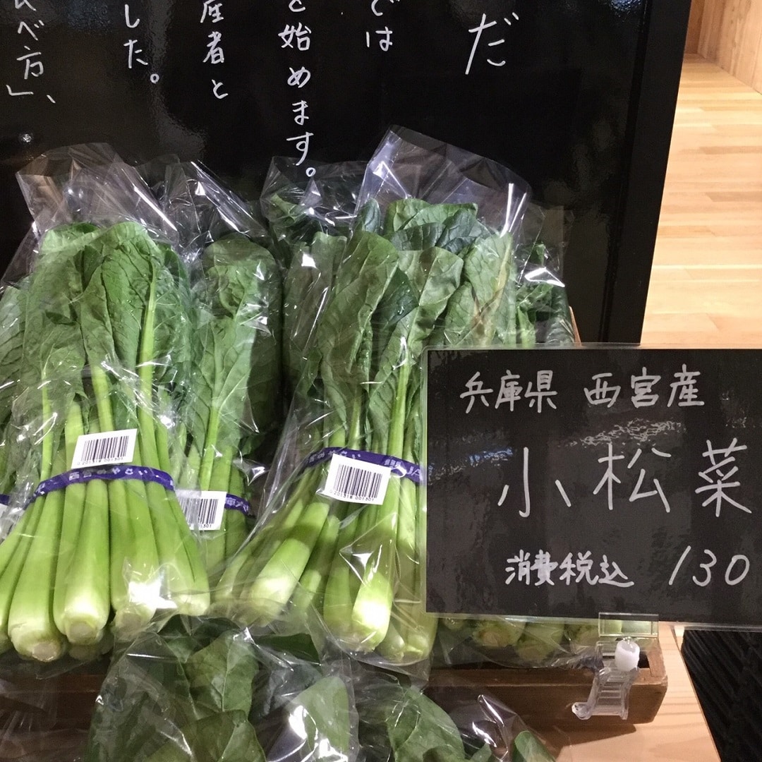 小松菜写真