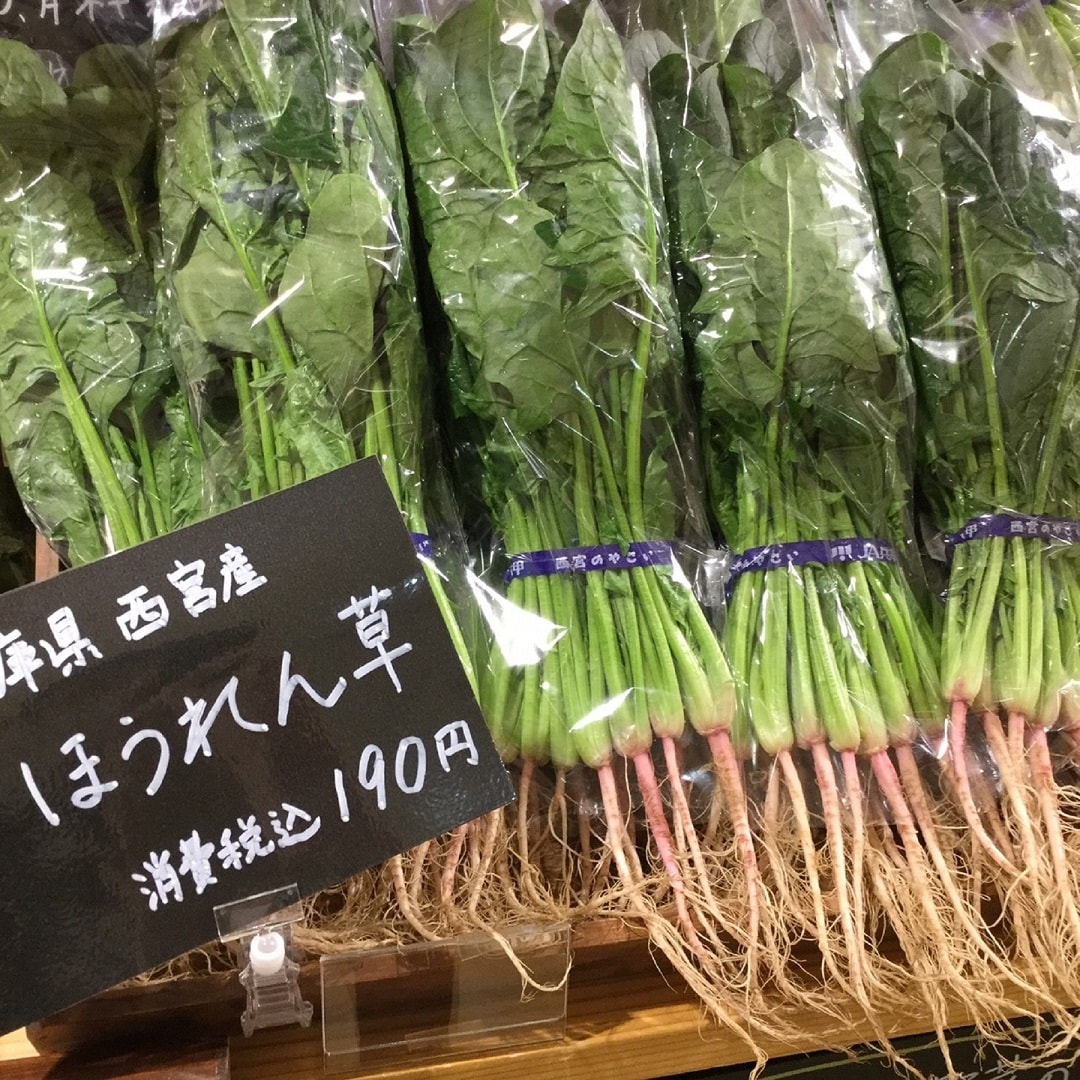 ほうれん草の写真