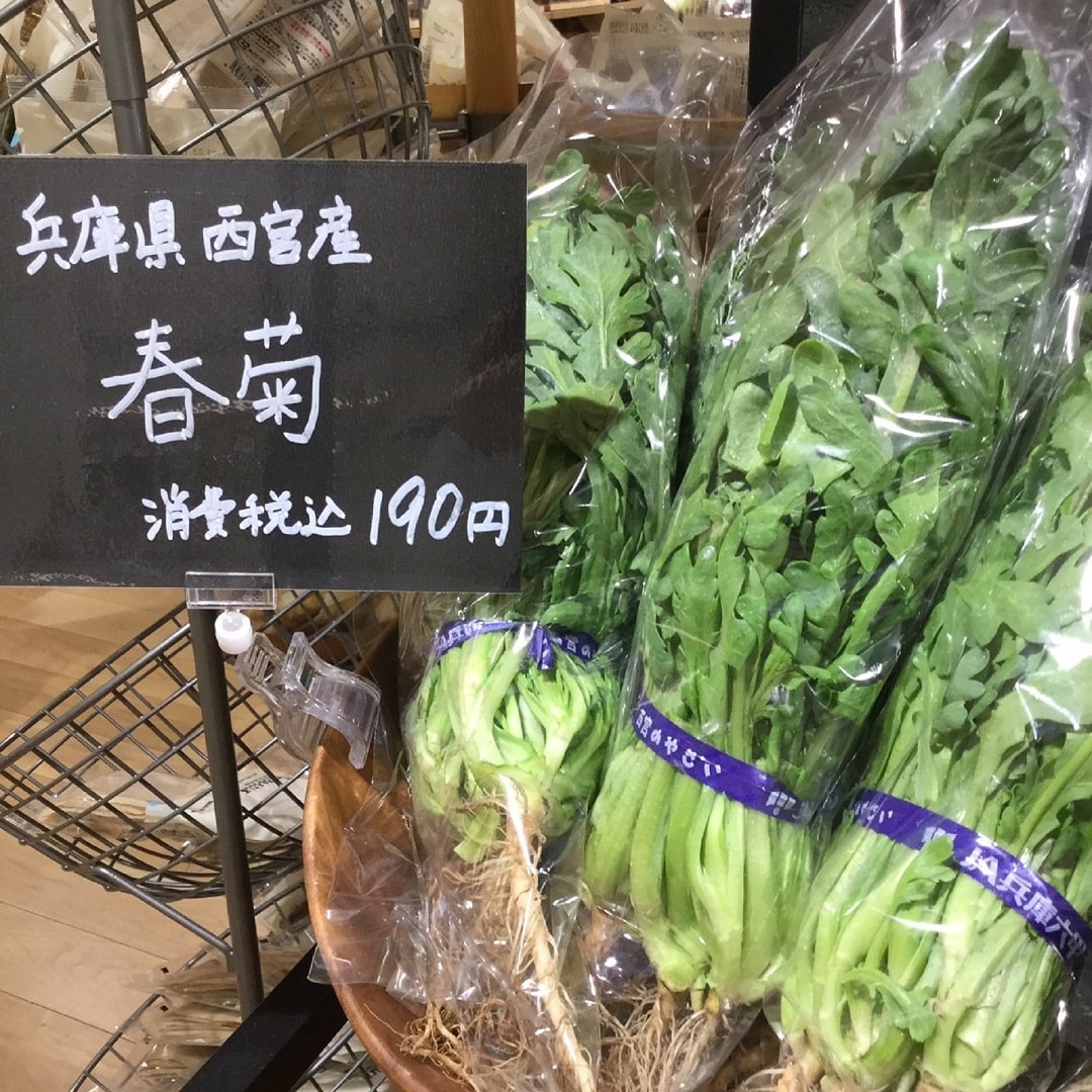 春菊の写真