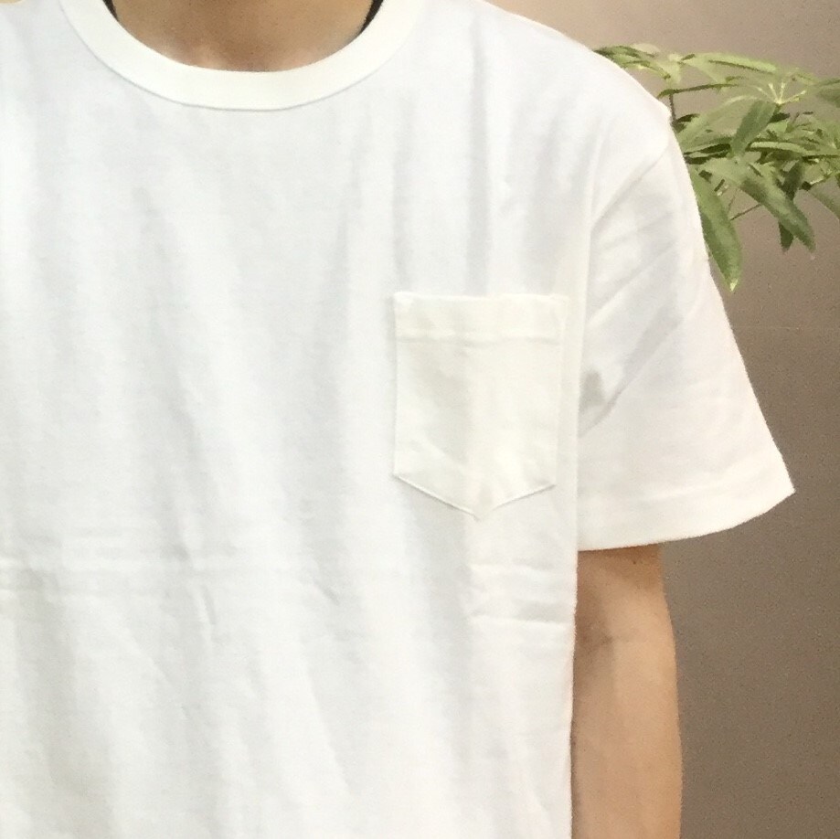 男性Tシャツ着用写真