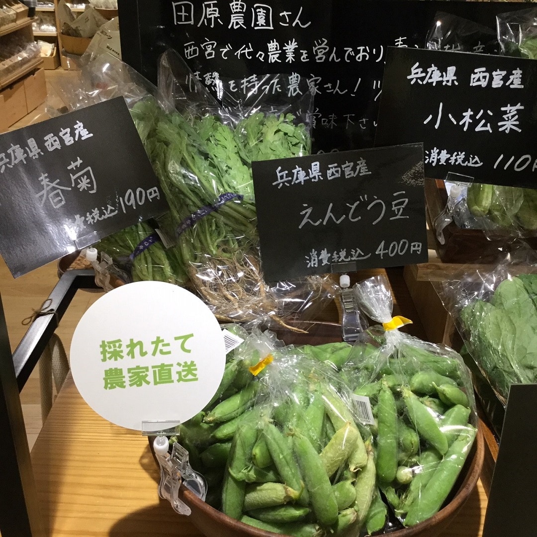 春菊とえんどう豆の写真