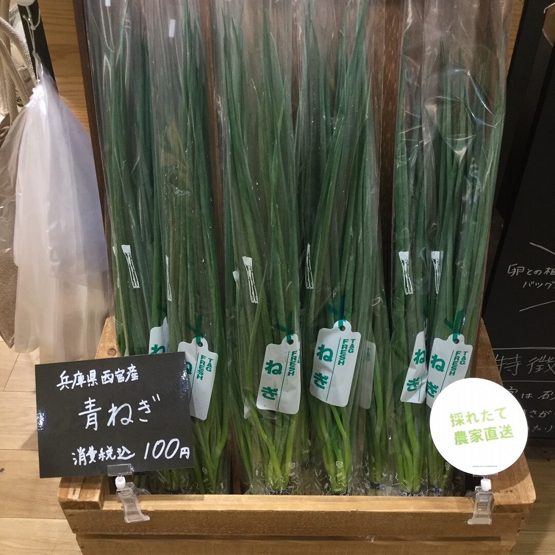 青ネギ