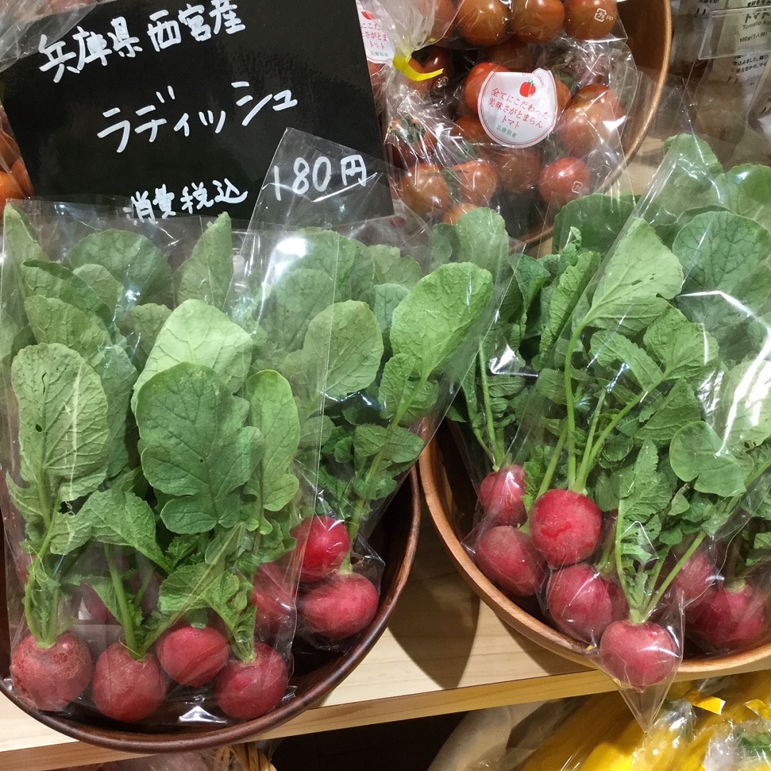 ラディッシュ