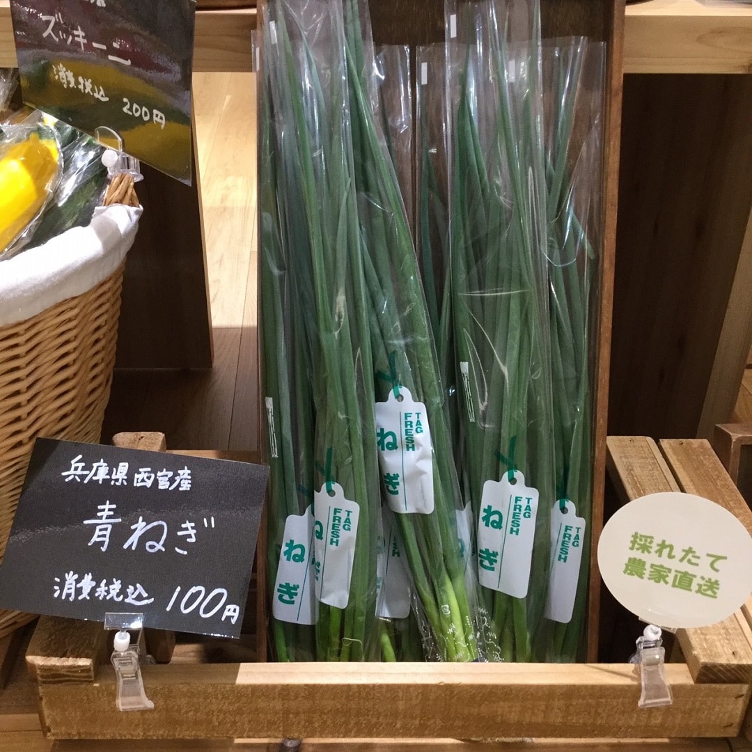 青ネギ
