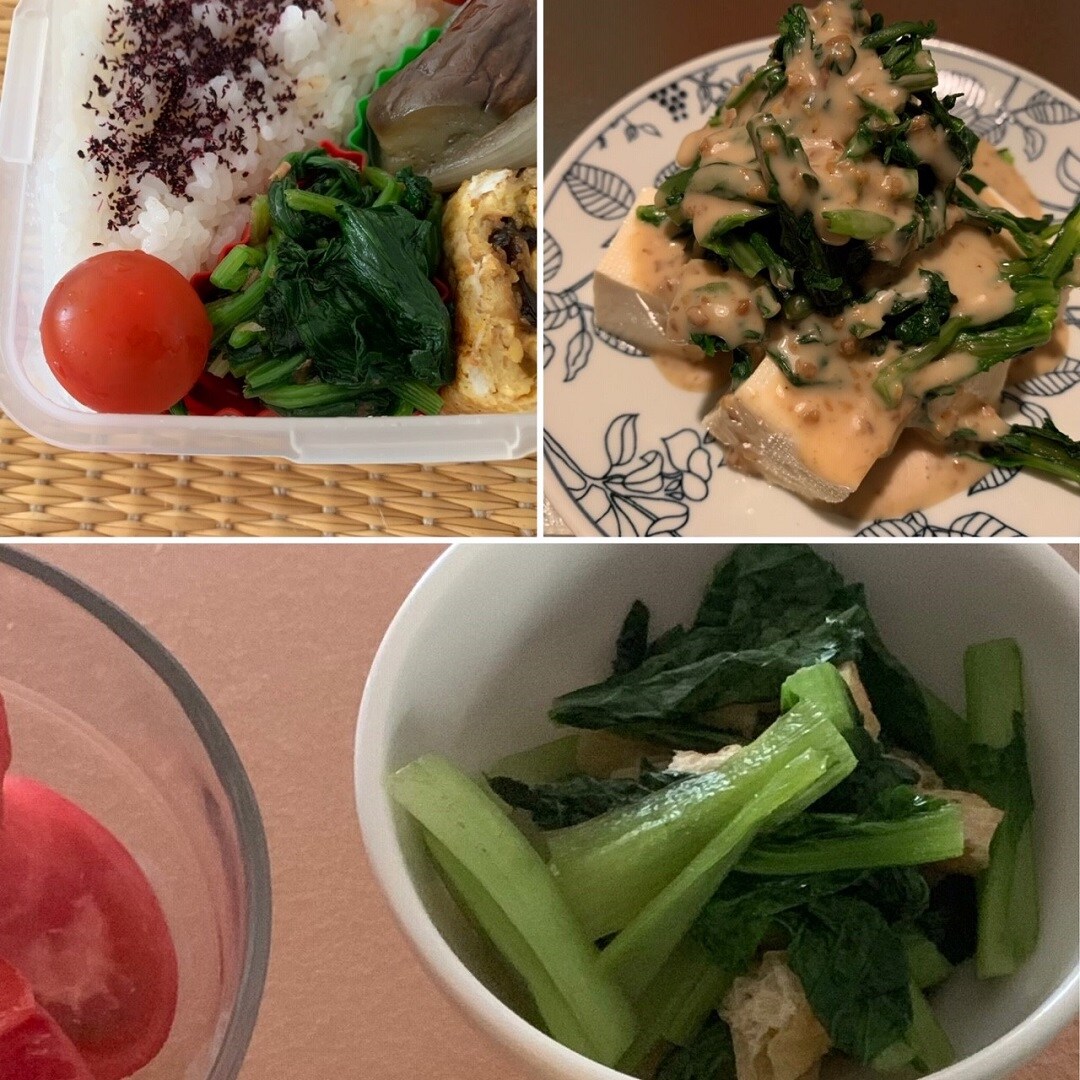 葉物野菜の料理写真