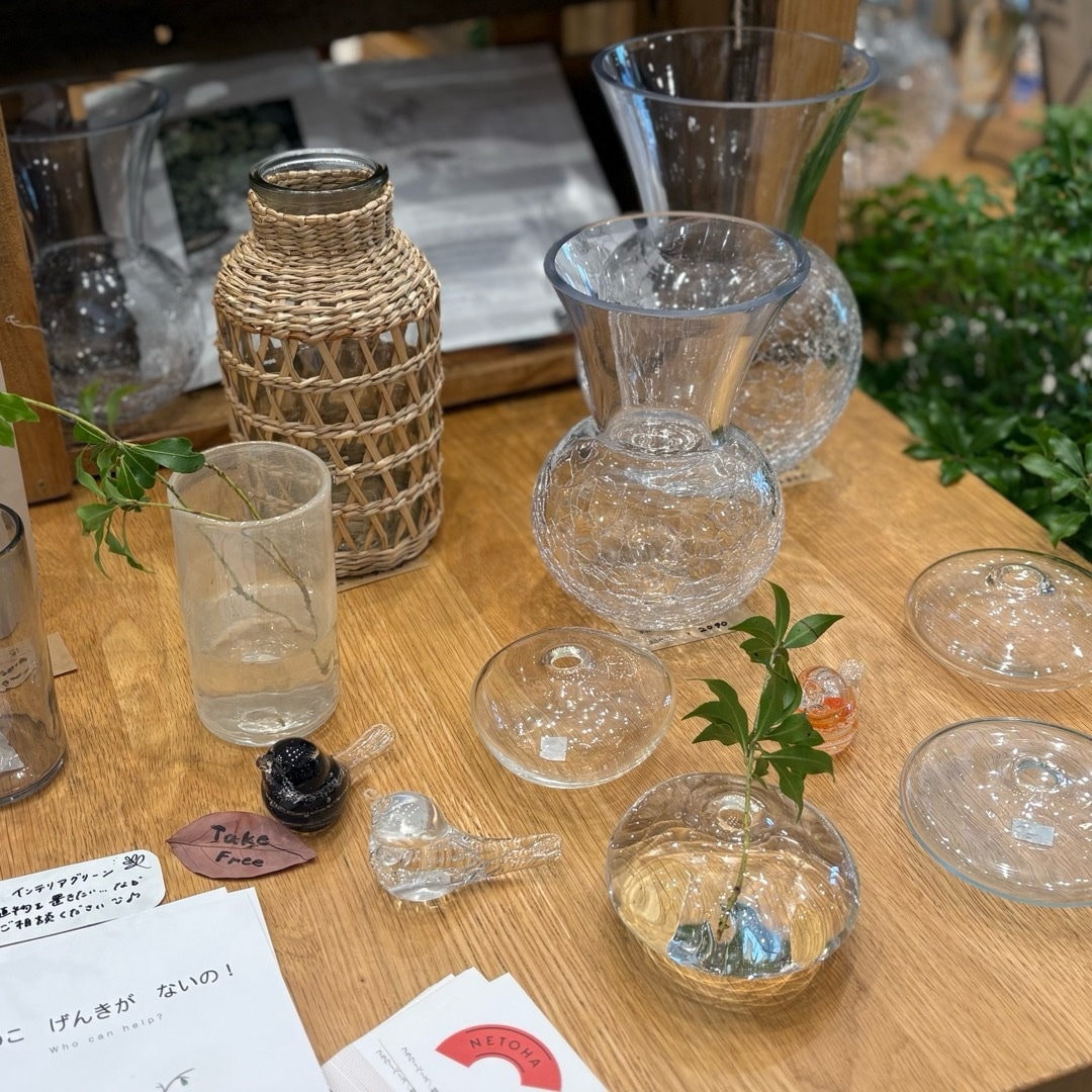 【広島パルコ】夏は花瓶と枝物のあるくらしを。NETOHA 販売会を開催しました｜イベント_nd23Ir