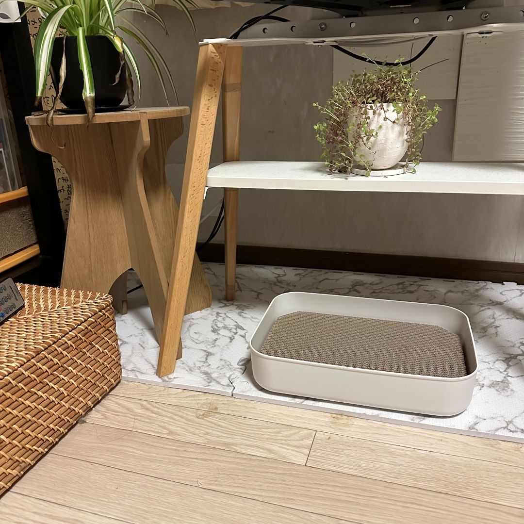 【イオンモール木曽川】ペット用品もご用意しております