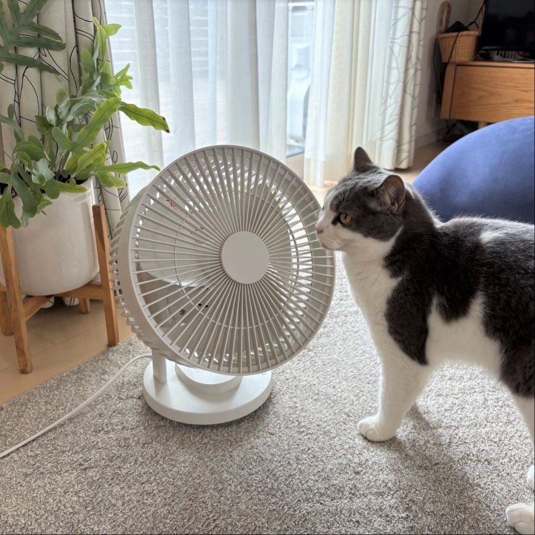 サーキュレーター