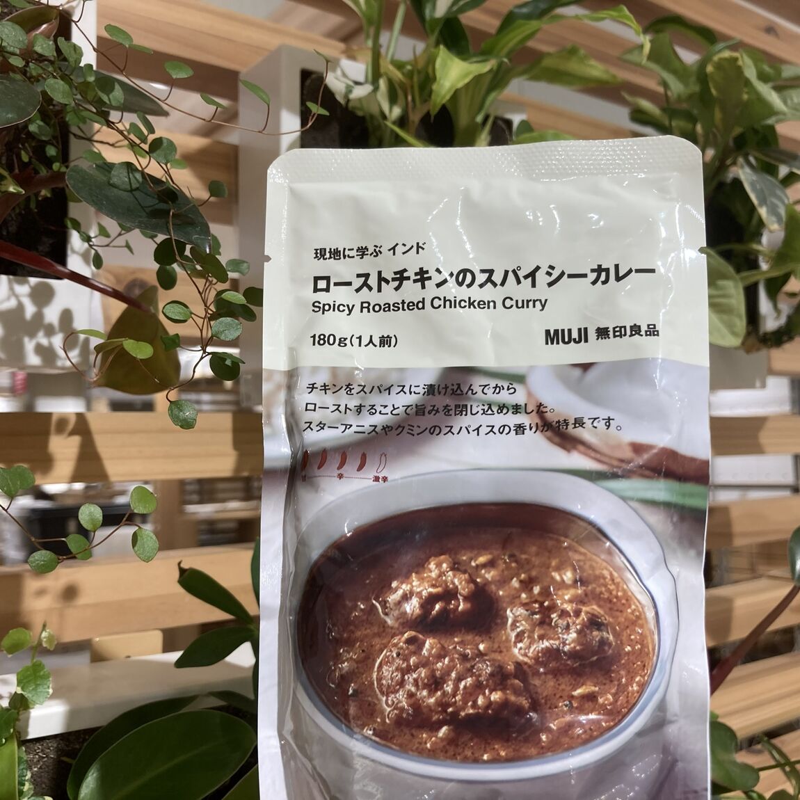 【二子玉川】現地に学ぶ　インド「ローストチキンのスパイシーカレー」「辛くないグリーンカレー」試食のお知らせ｜2026年7月25日(土)26日(日)_ArWS17