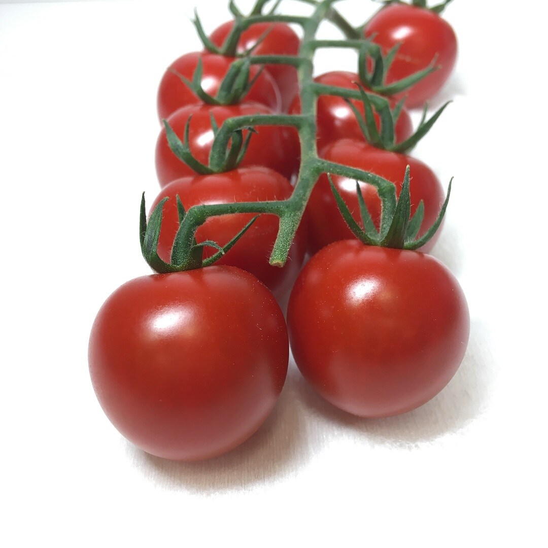 トマト5