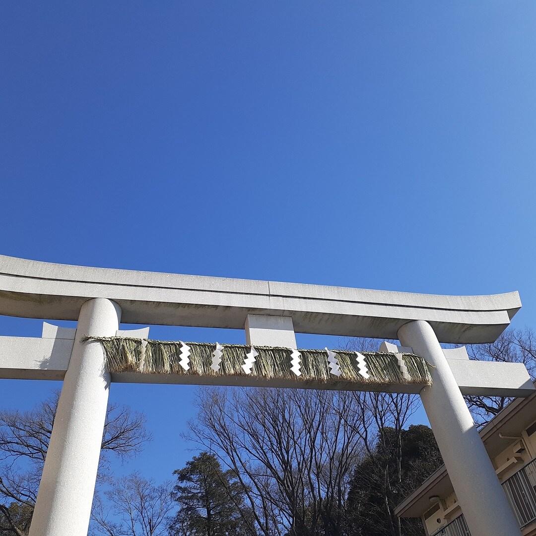 近くの神社鳥居