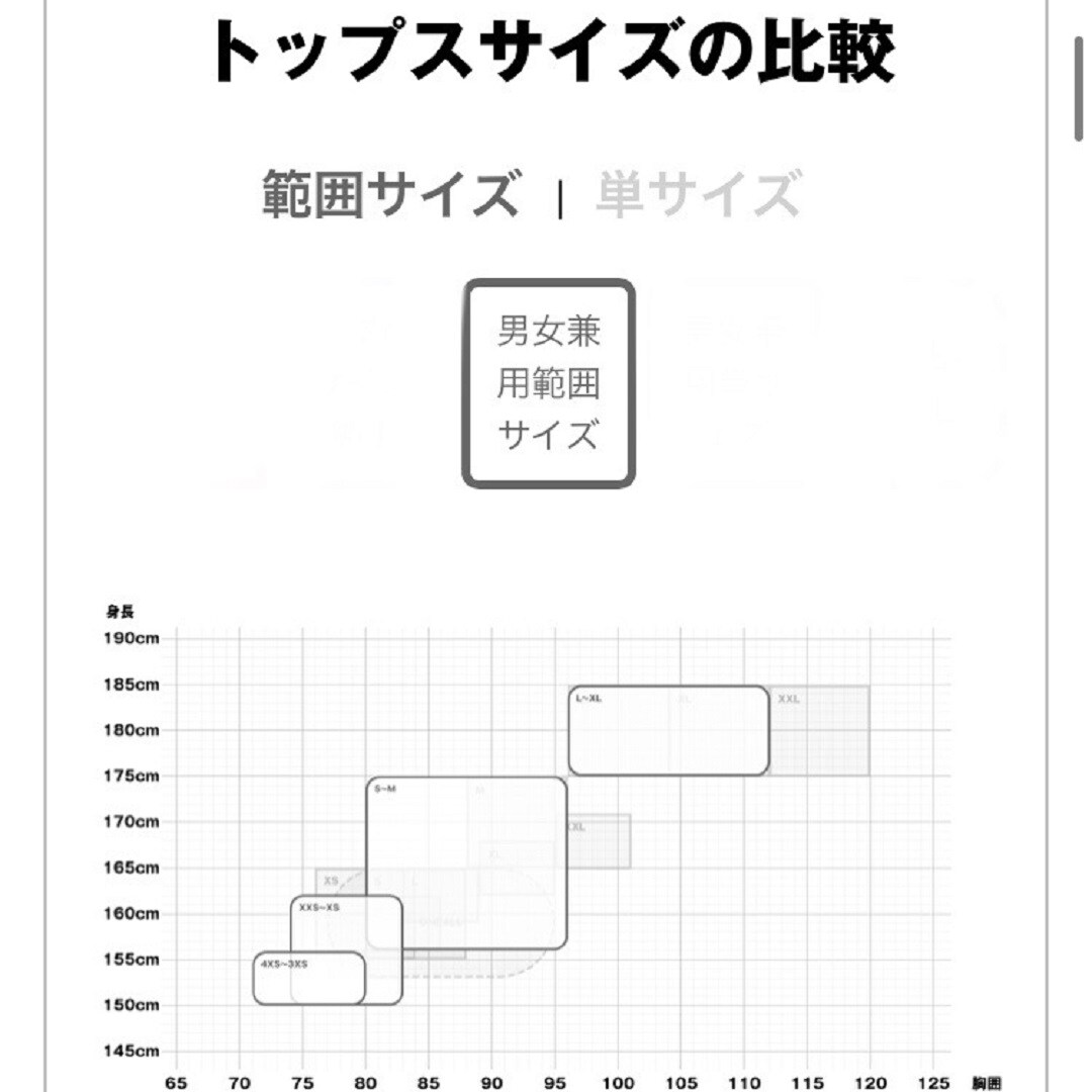 サイズ展開