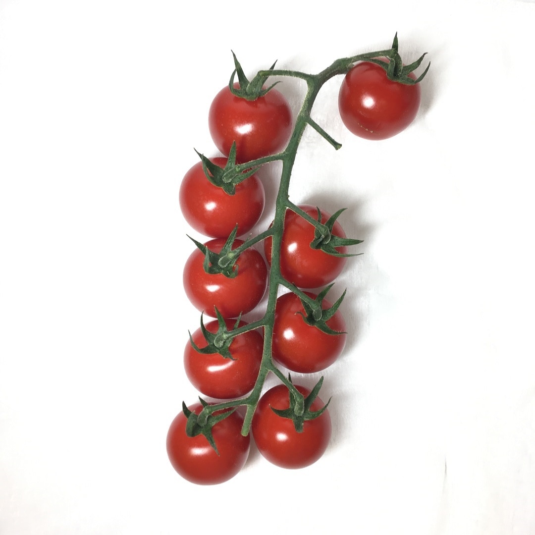 tomato4