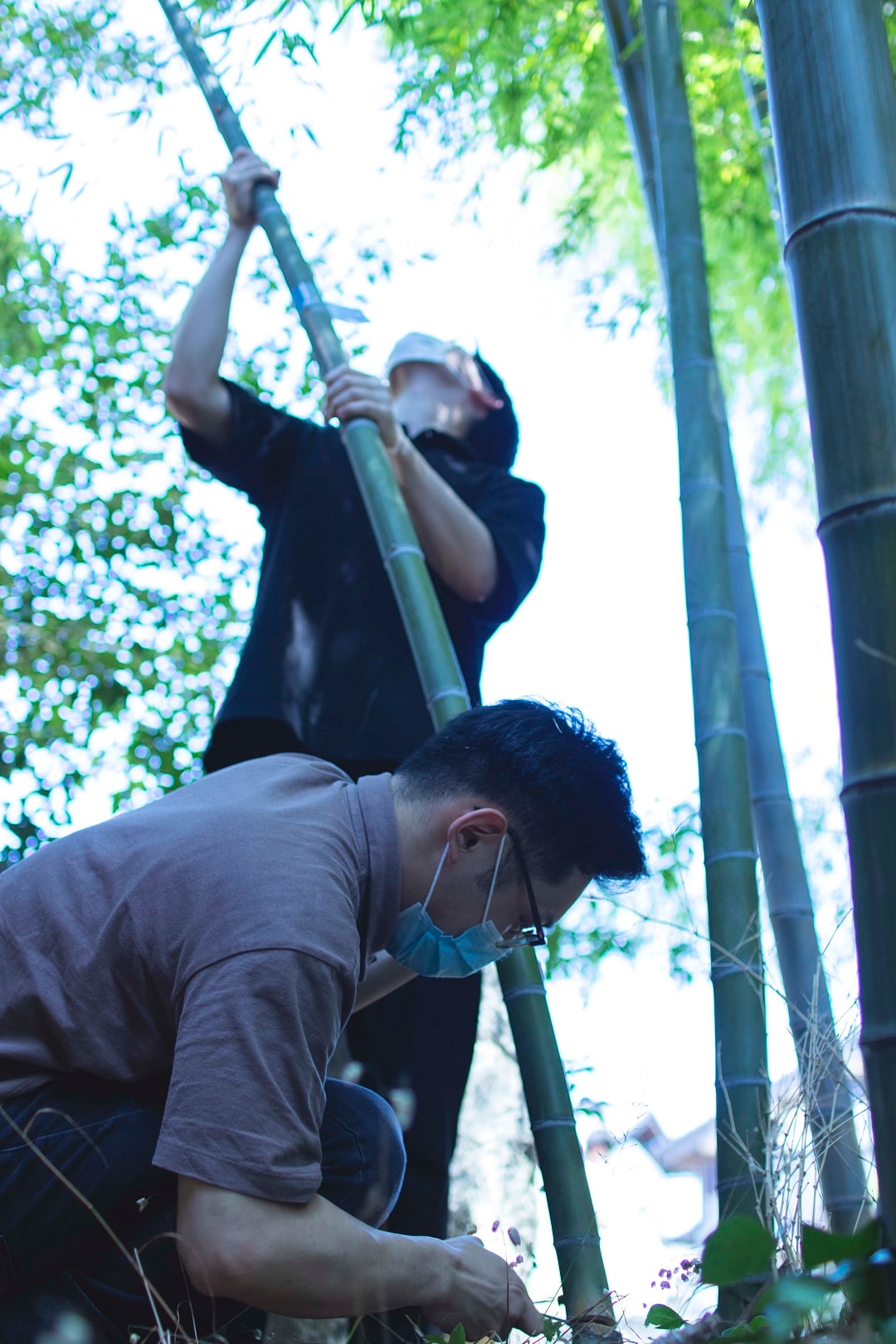【野々市明倫通り】七夕の竹を設置しました！