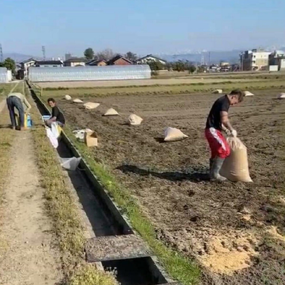 土づくり