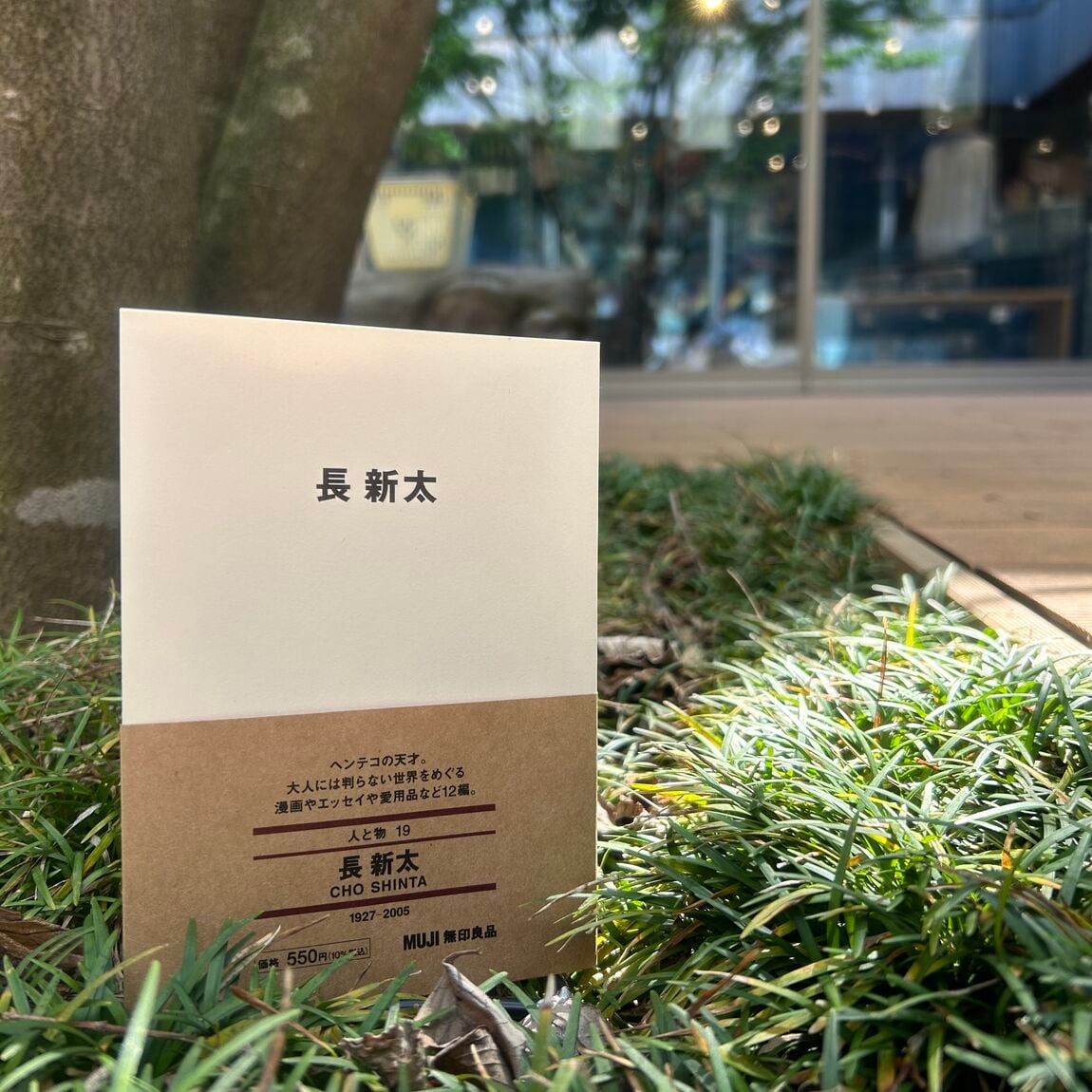 長　新太