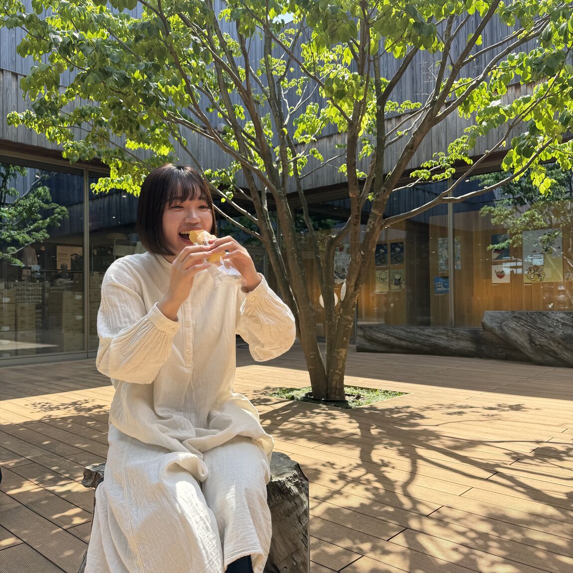 大人気バウムシリーズ
