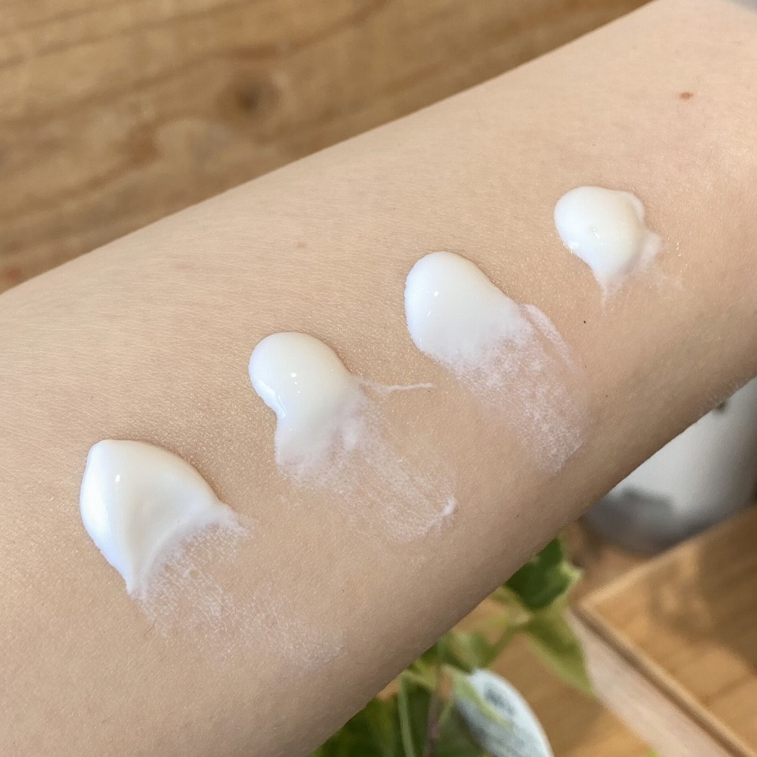 使用見本