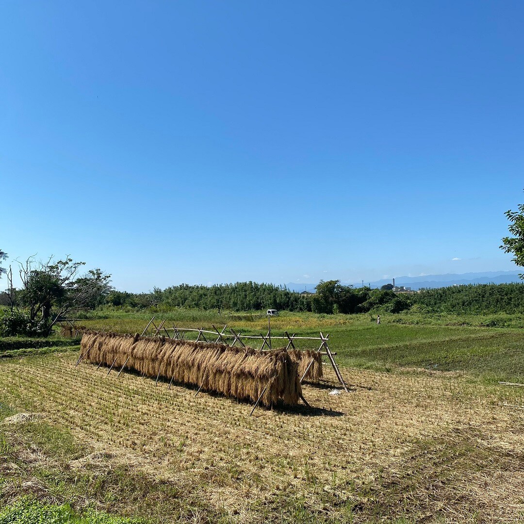 原風景