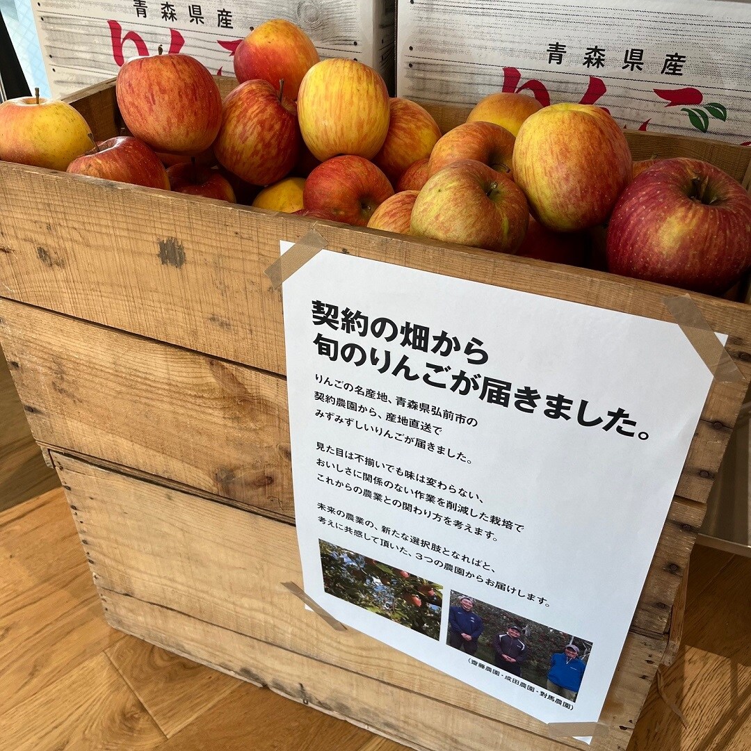 【MUJI com　武蔵野美術大学市ヶ谷キャンパス】不揃いりんごが入荷しました