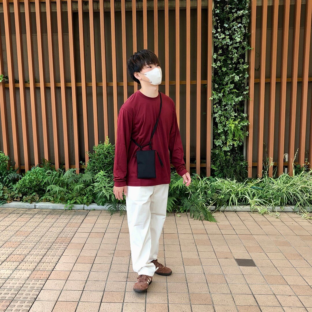 小田原の季節の鮮魚の写真