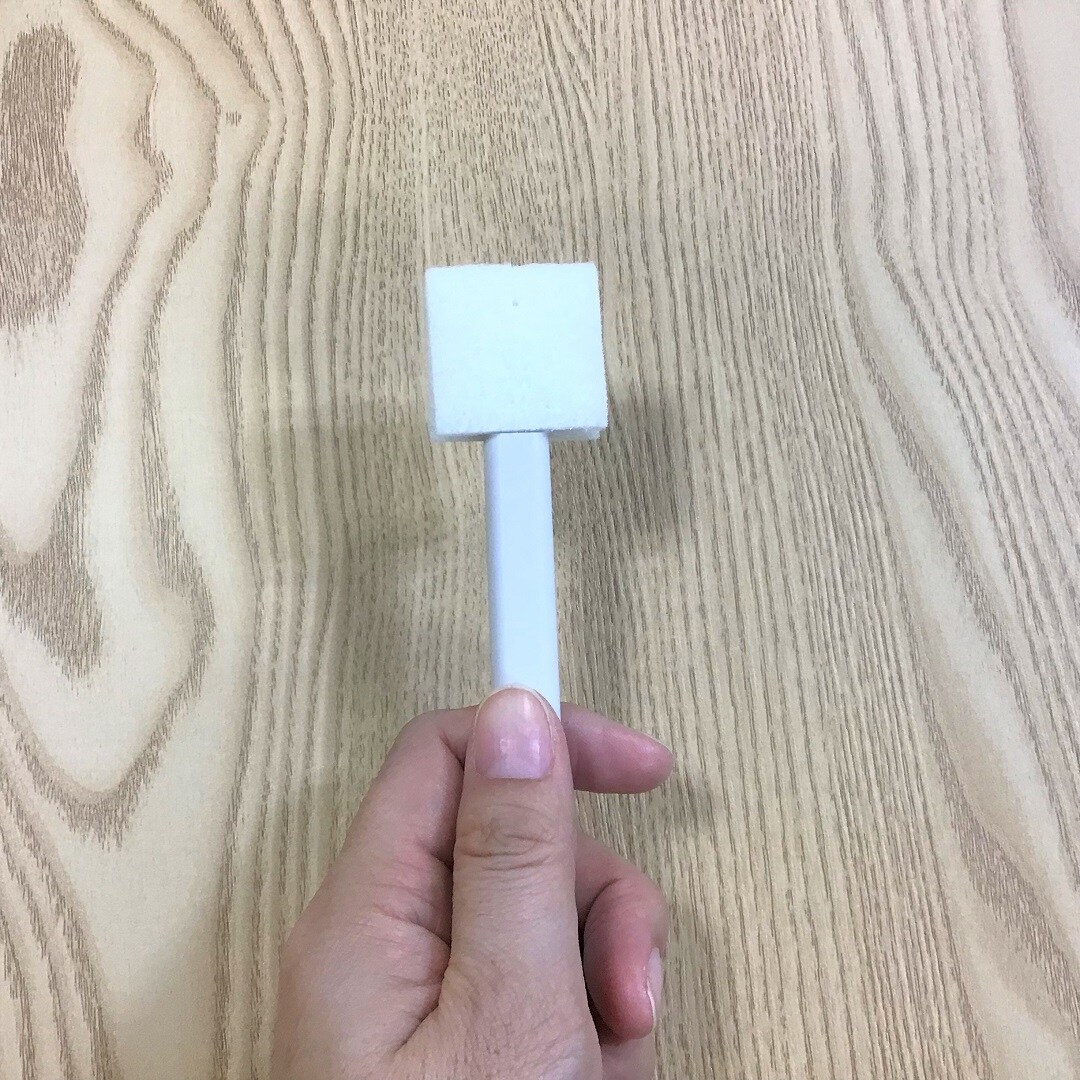 スポンジの写真