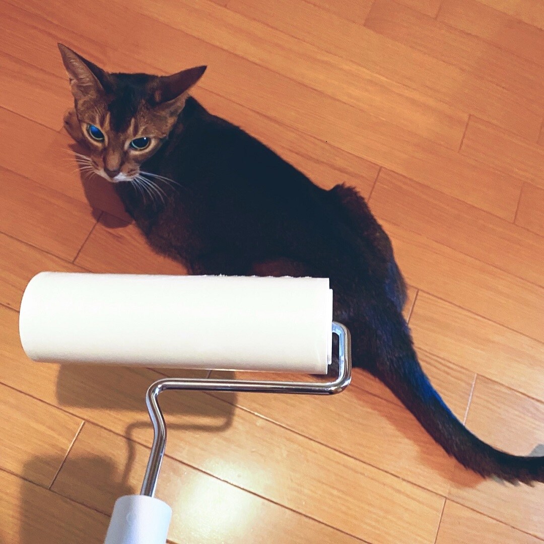 カーペットクリーナー