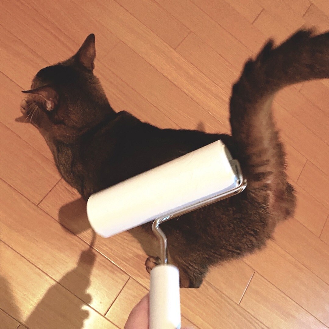 カーペットクリーナー