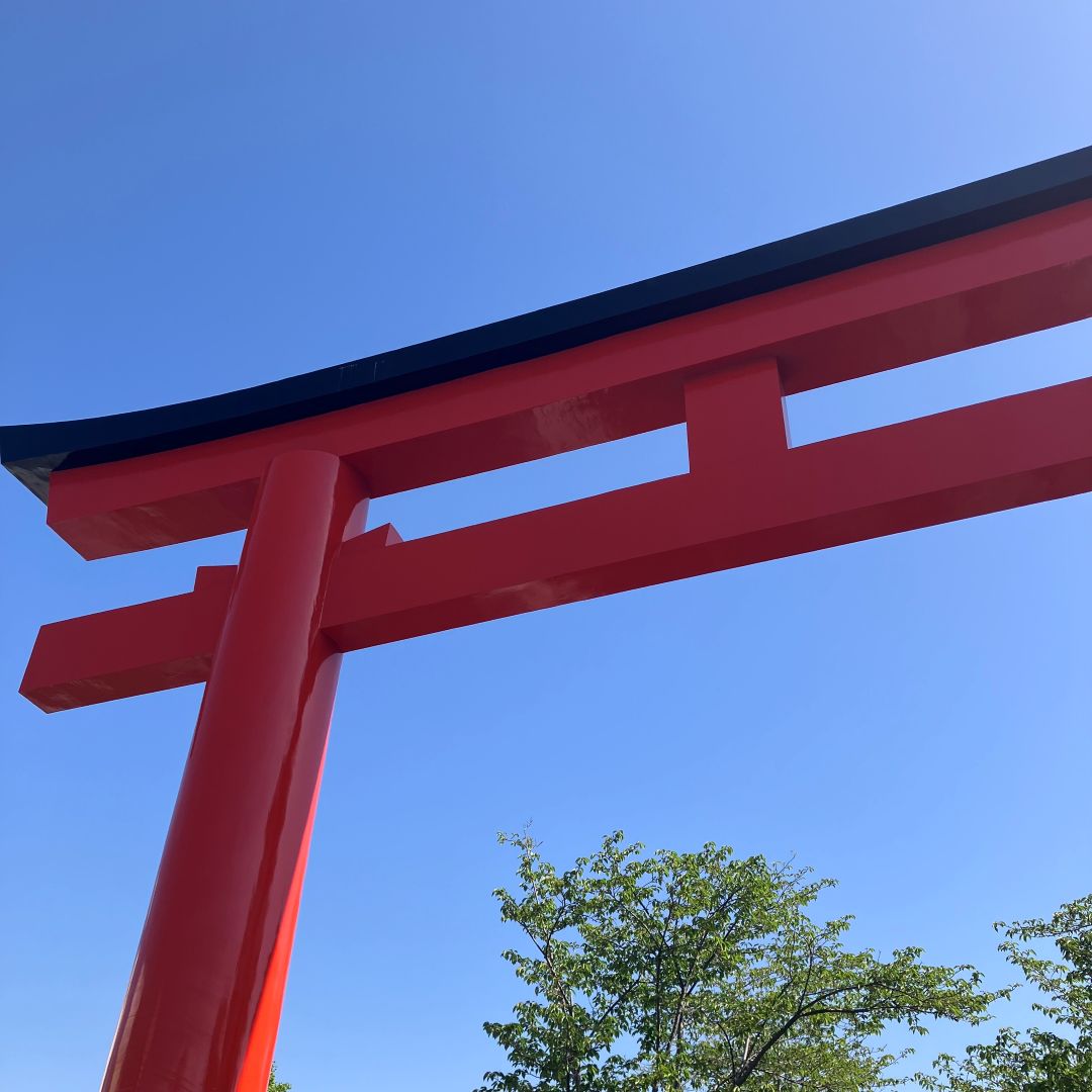 アドバイザーおたより