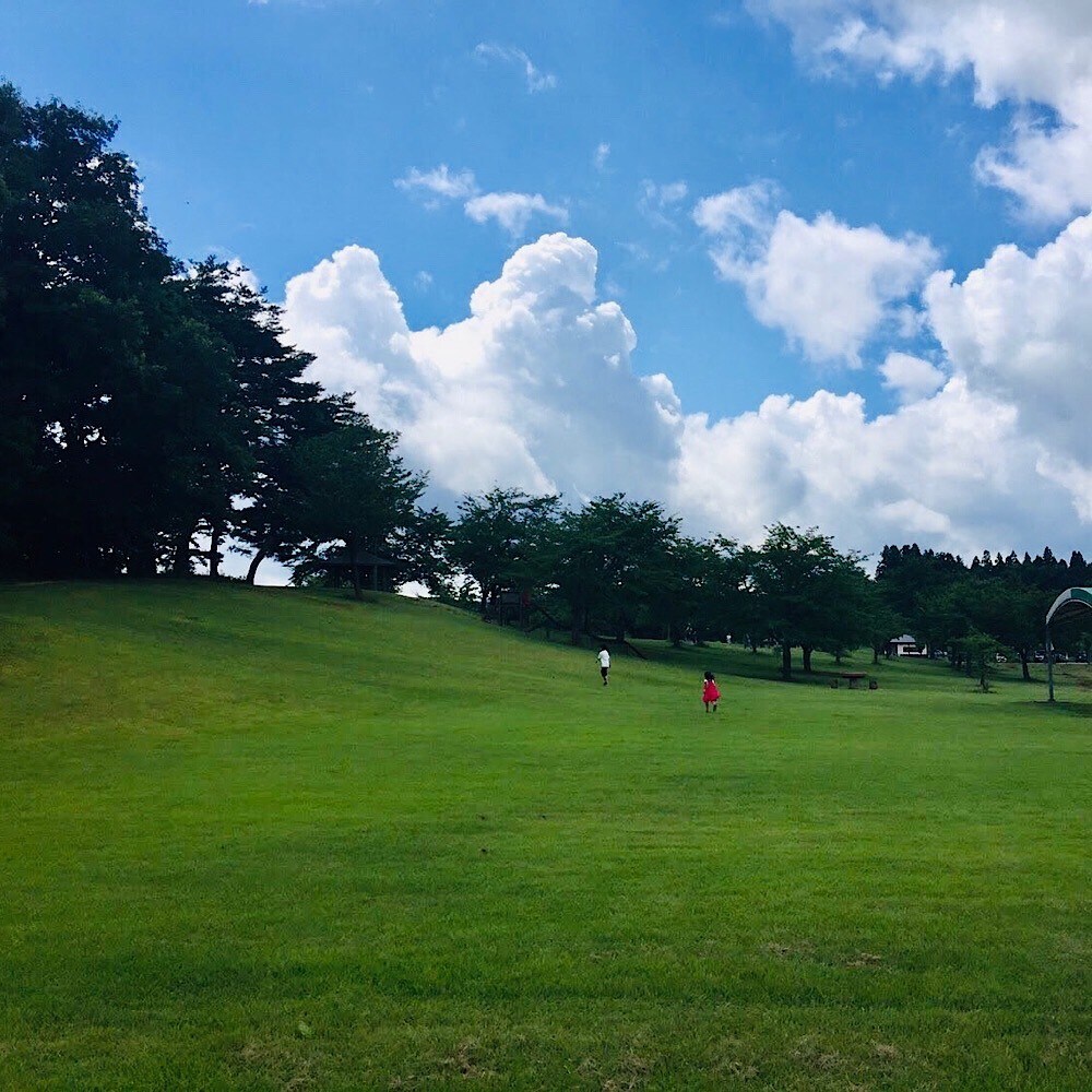 芝生の上に青い夏空が広がる