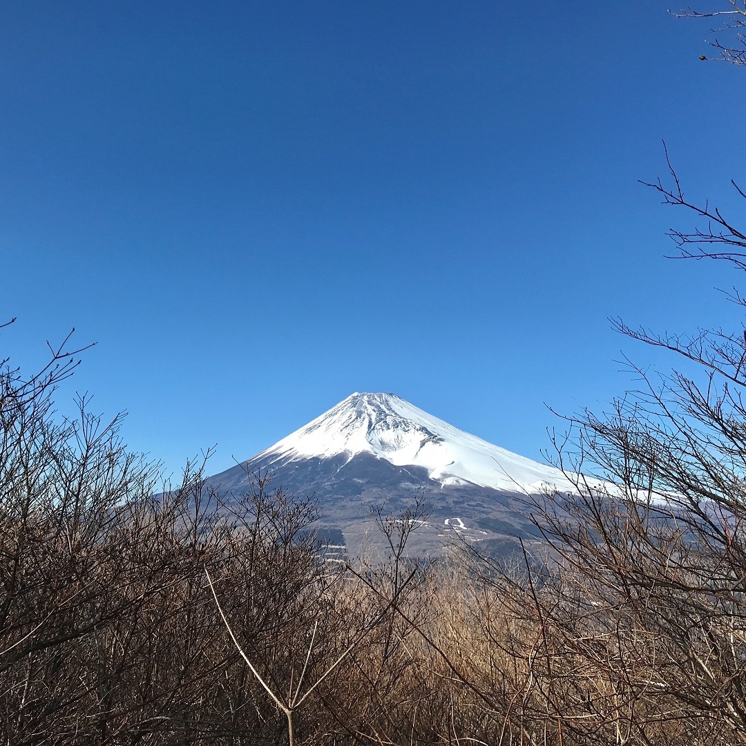 雪のついた富士山