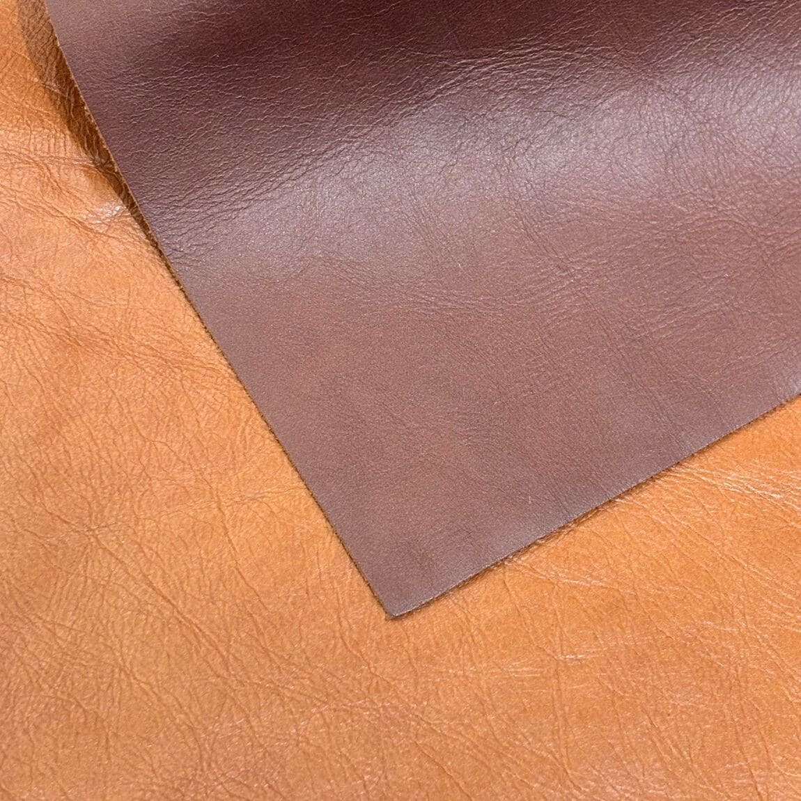046050-20250920-045-03
