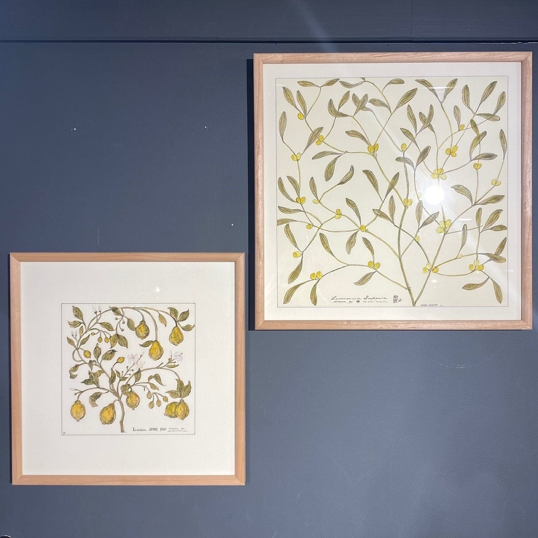 coricciさんのbotanicalシリーズ