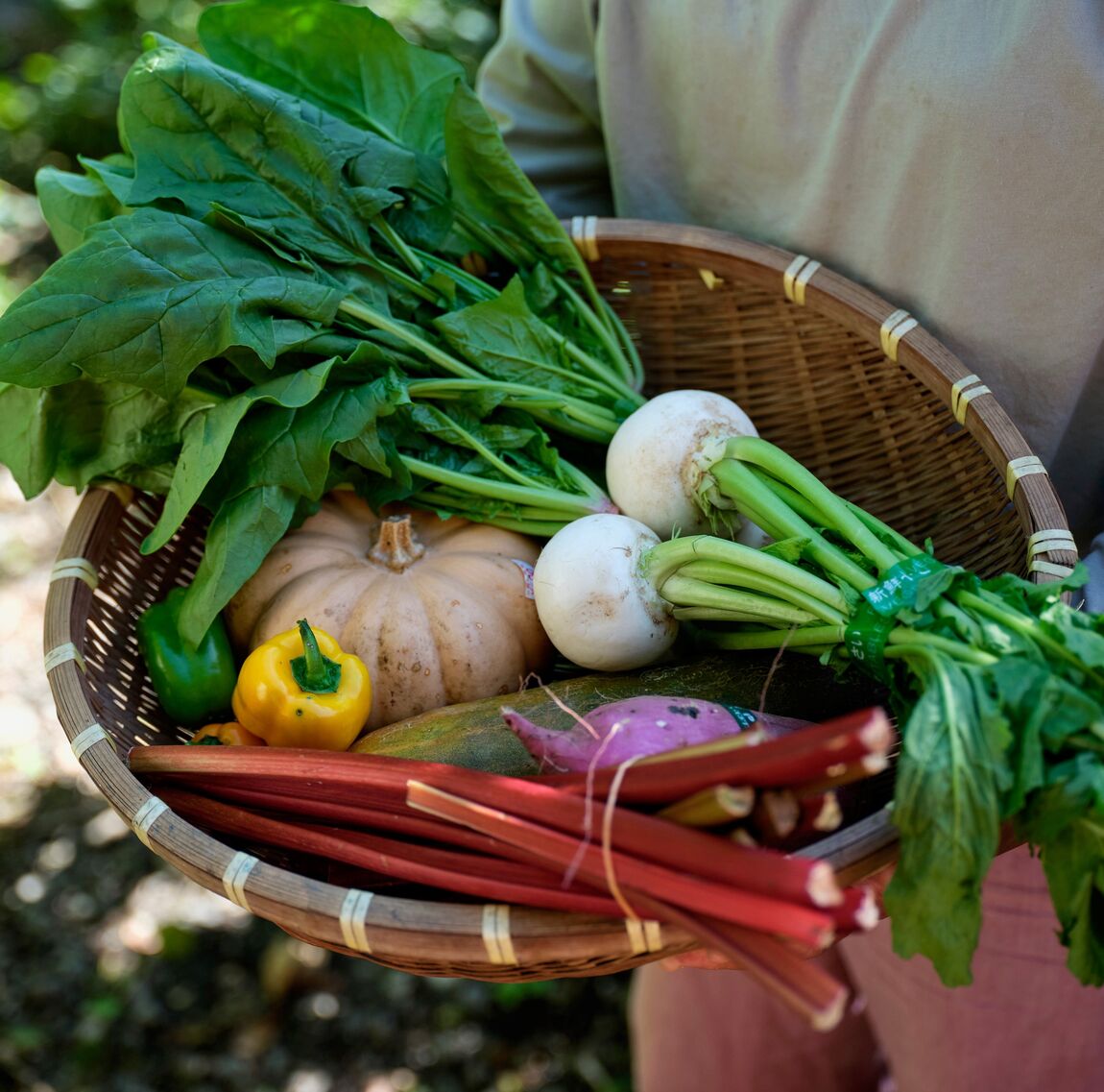野菜の写真