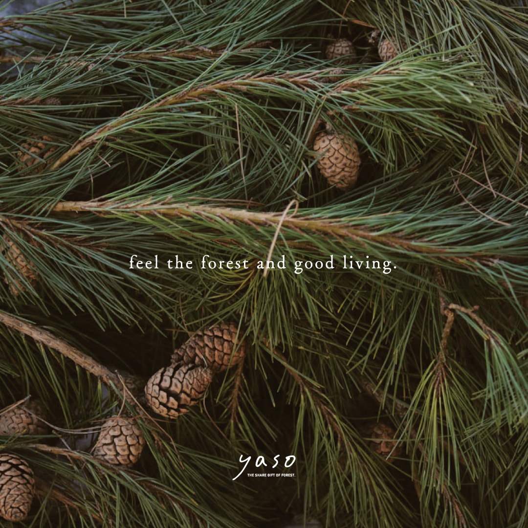 ヤソのビジュアル