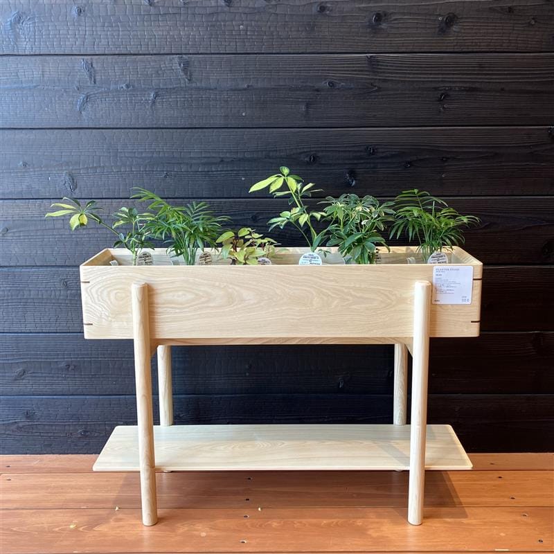 【みのおキューズモール】植物のある暮らしで涼やかに。