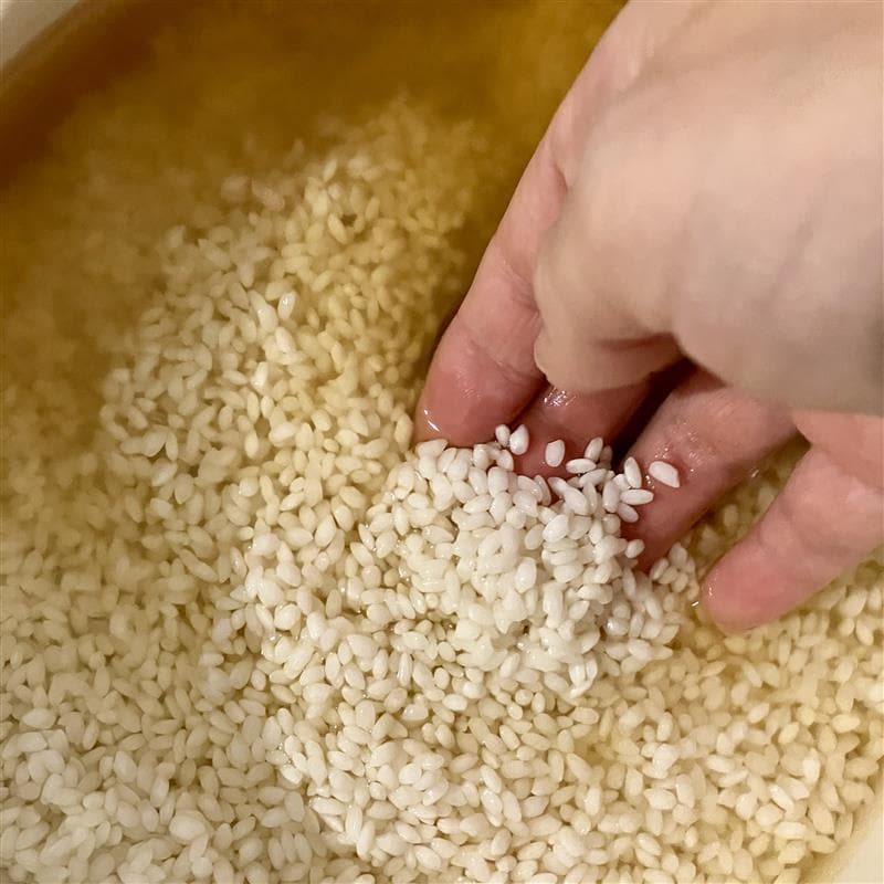 【みのおキューズモール】秋のぜいたく、炊き込みごはん