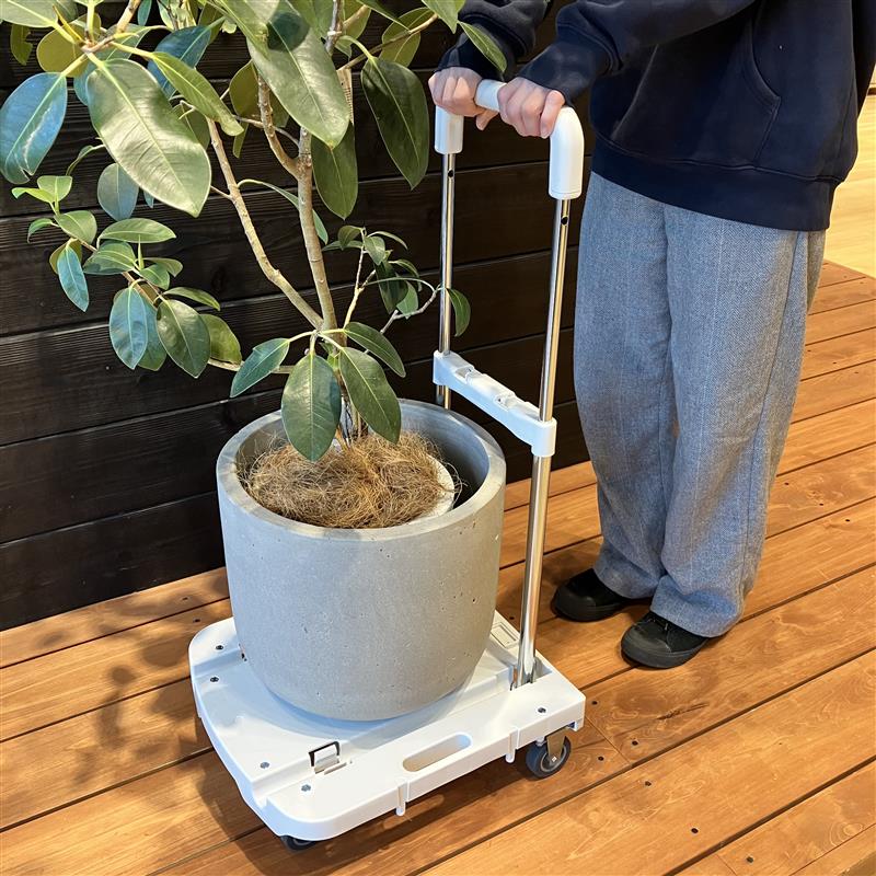 【みのおキューズモール】日々のお買い物を快適に。